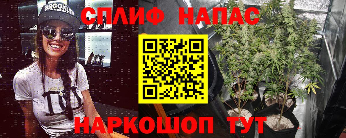 Шишки марихуана план Гурьевск